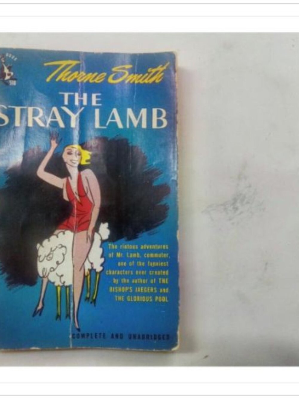 The Stray Lamb Complete and Unabridged Pocket Books 1948 PB